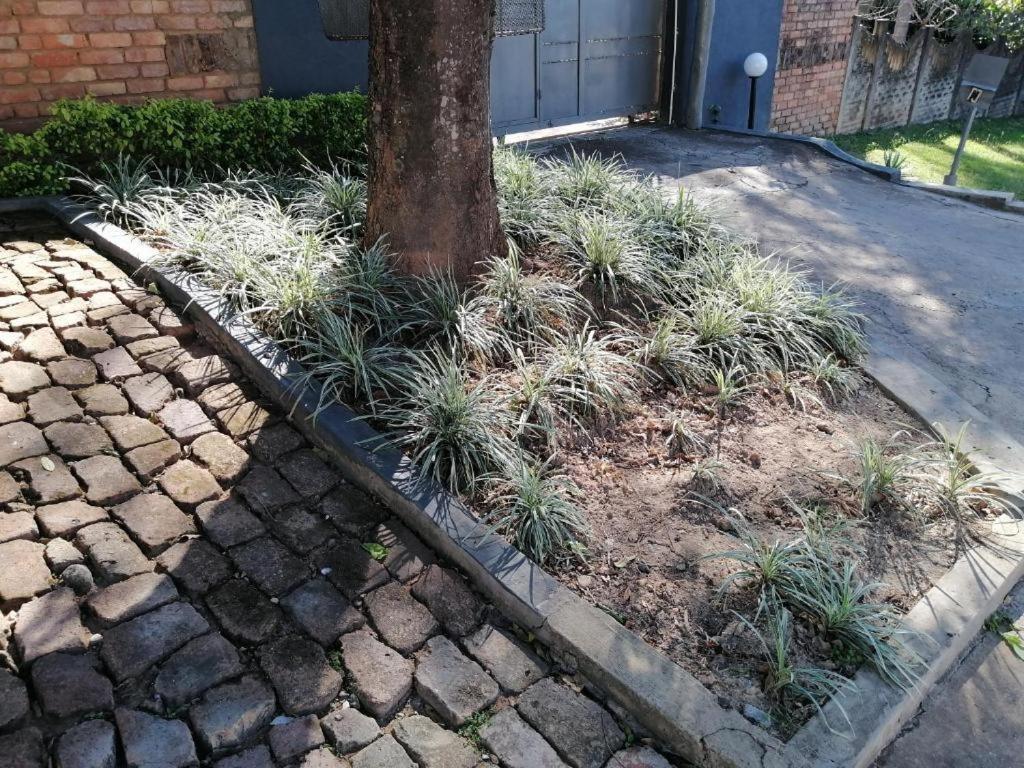 Kaste Guesthouse Tzaneen Esterno foto